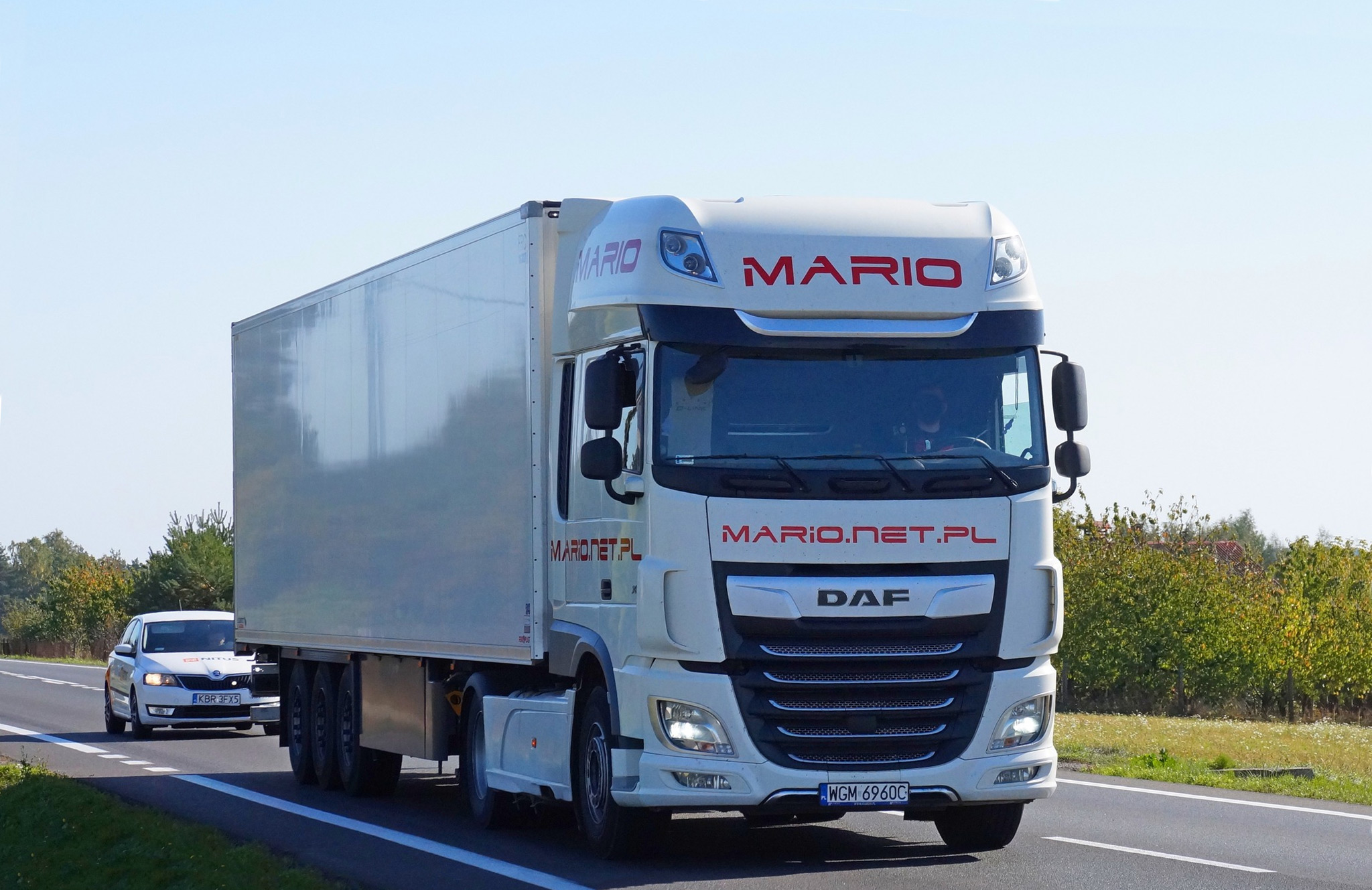 Transport chłodniczy DAF